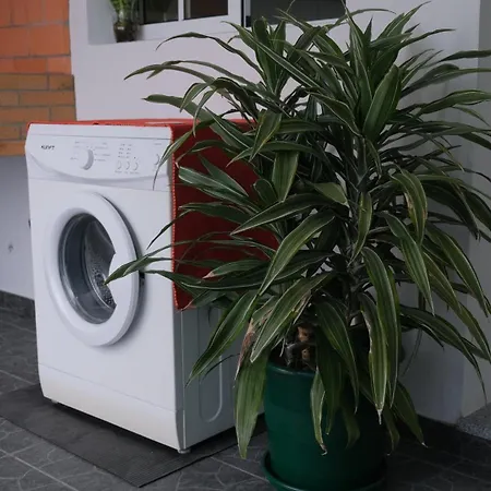 Quinta Do Carmo House With View