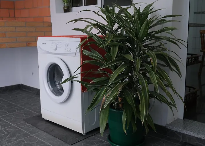 Quinta Do Carmo House With View