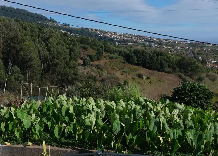 Vakantiehuis Quinta Do Carmo House With View *